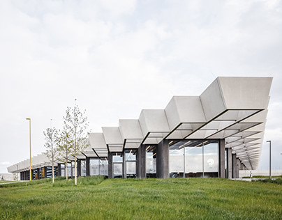 Новый год в одиночку: как не скучать в праздник одиноким пенсионерам - 5 идей как весело отметить новый год, даже если вы совсем одни