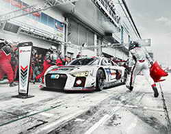 Археологи нашли останки клеток мозга человека V века до нашей эры
