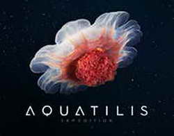 Ученые придумали, как превратить любое окно в солнечную батарею