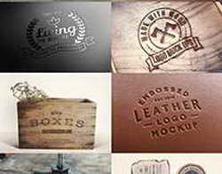 Участник проекта Курск Герои проходит стажировку в комитете ветеринарии Курской области